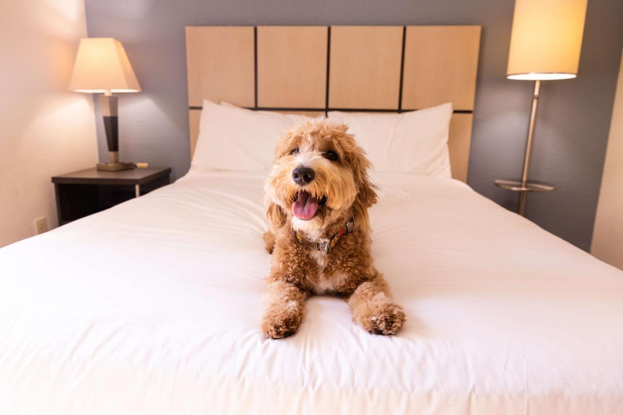 Hotel Sonesta Simply Anaheim